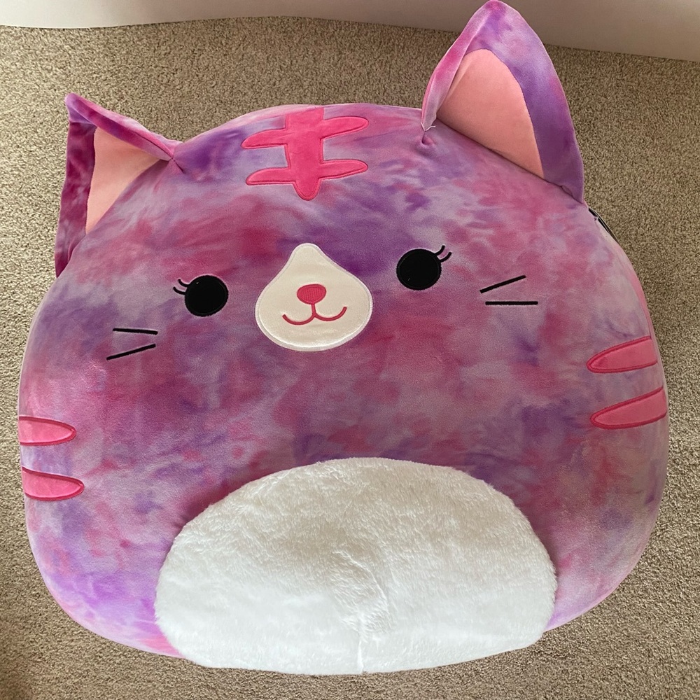 Squishmellow 24inch Caeli the cat